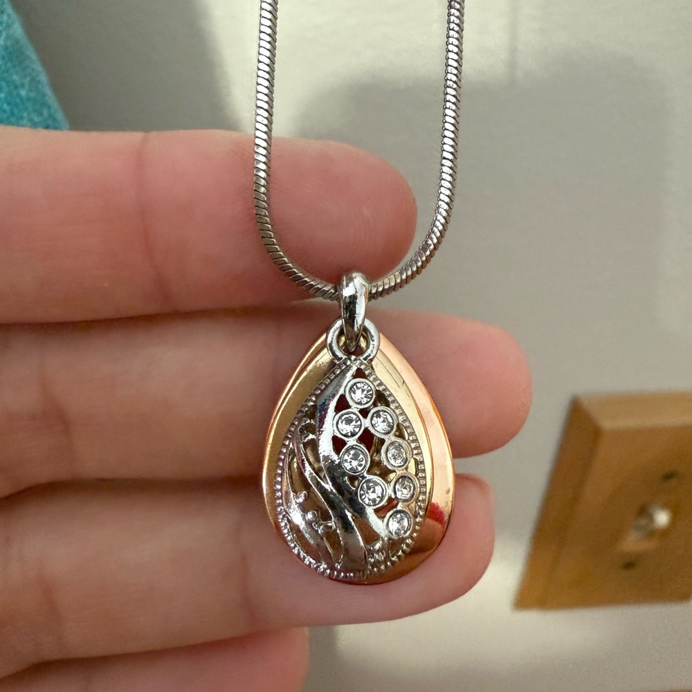 Silver and Gold Pendant with silver chain